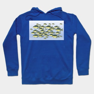 Crappie school Hoodie